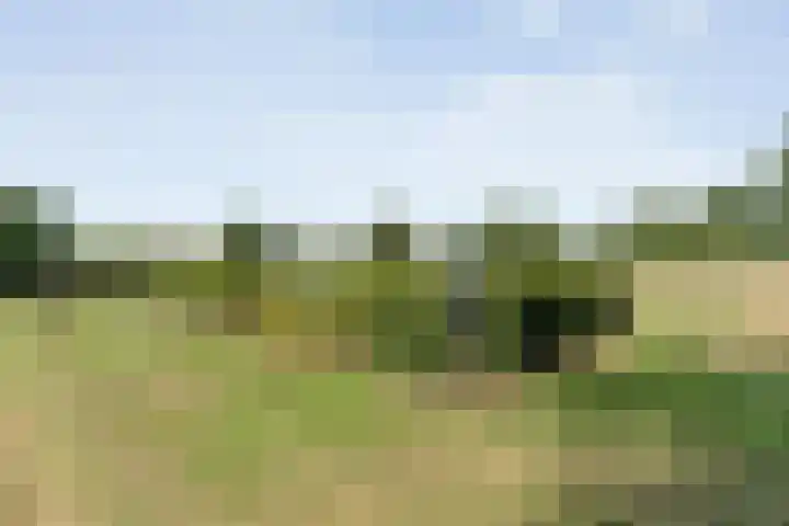 Alteveer 85 Alteveer thumbnail 84