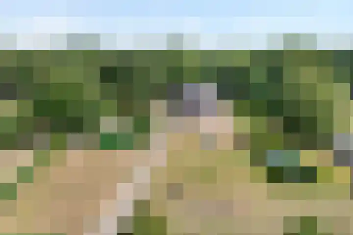 Alteveer 85 Alteveer thumbnail 85