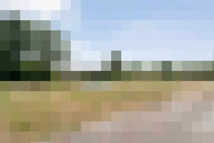 Alteveer 85 Alteveer thumbnail 87