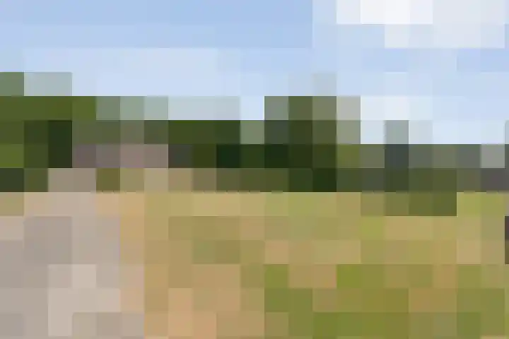 Alteveer 85 Alteveer thumbnail 88