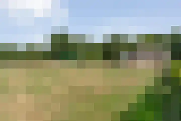 Alteveer 85 Alteveer thumbnail 89