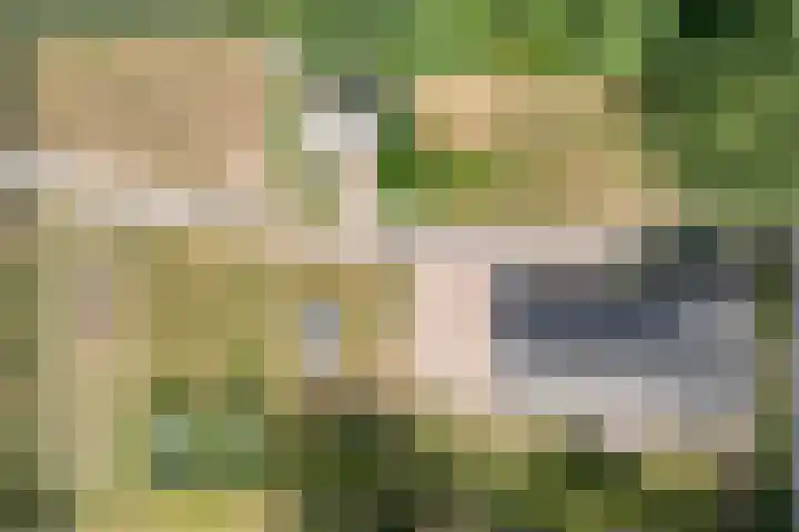 Alteveer 85 Alteveer thumbnail 90