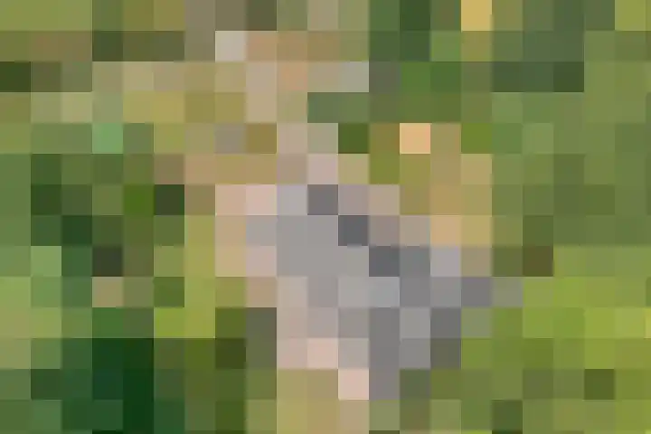 Alteveer 85 Alteveer thumbnail 91