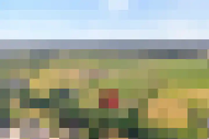 Alteveer 85 Alteveer thumbnail 93