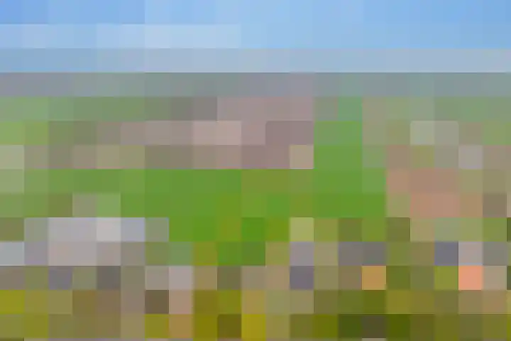 Alteveer 94 Hoogeveen thumbnail 41