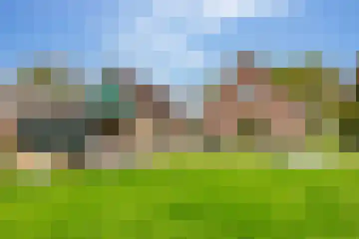 Alteveer 94 Hoogeveen thumbnail 48