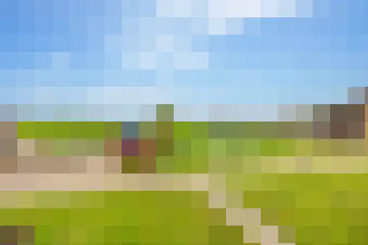 Alteveer 94 Hoogeveen thumbnail 54