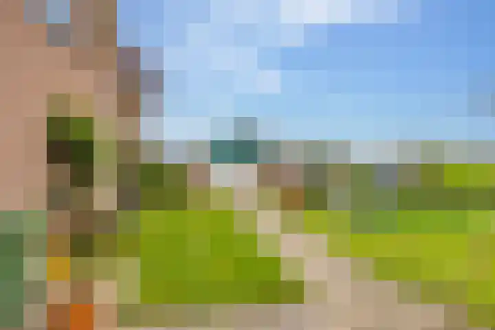Alteveer 94 Hoogeveen thumbnail 55
