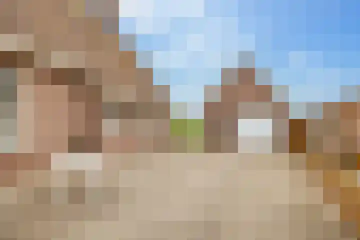 Alteveer 94 Hoogeveen thumbnail 58