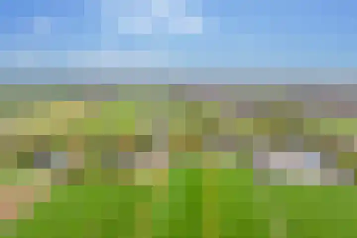 Alteveer 94 Hoogeveen thumbnail 6