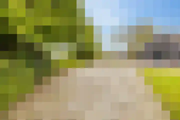 Alteveer 94 Hoogeveen thumbnail 62