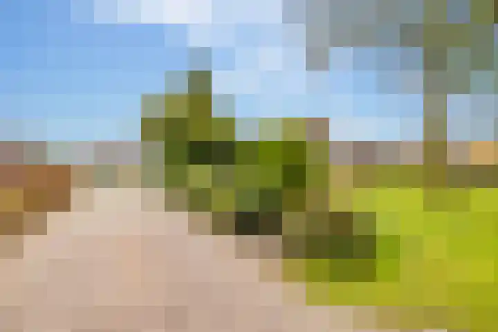 Alteveer 94 Hoogeveen thumbnail 63