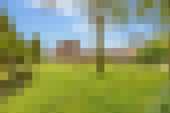 Alteveer 94 Hoogeveen thumbnail 64