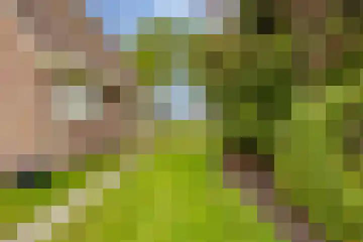 Alteveer 94 Hoogeveen thumbnail 65
