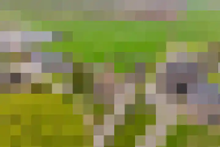 Alteveer 94 Hoogeveen thumbnail 67
