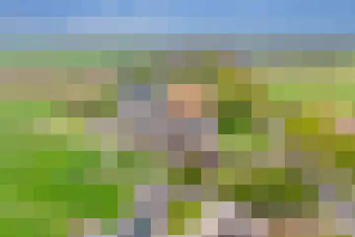 Alteveer 94 Hoogeveen thumbnail 68