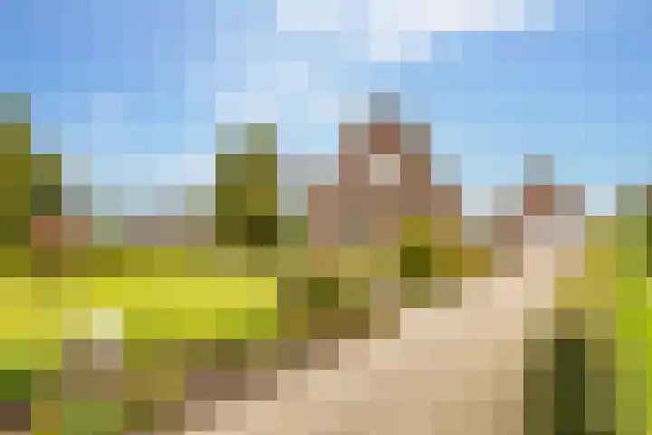 Alteveer 94 Hoogeveen thumbnail 69