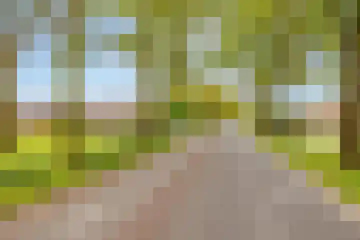 Alteveer 94 Hoogeveen thumbnail 70
