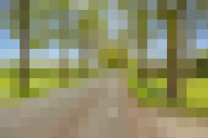 Alteveer 94 Hoogeveen thumbnail 71