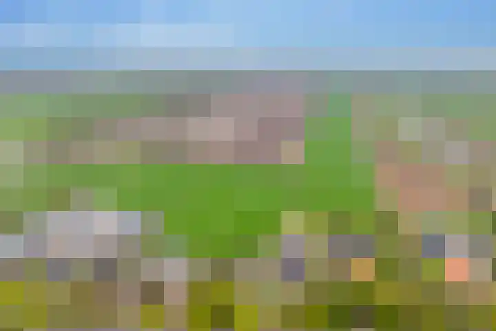 Alteveer 94 Hoogeveen thumbnail 72
