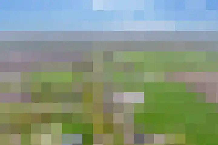 Alteveer 94 Hoogeveen thumbnail 73
