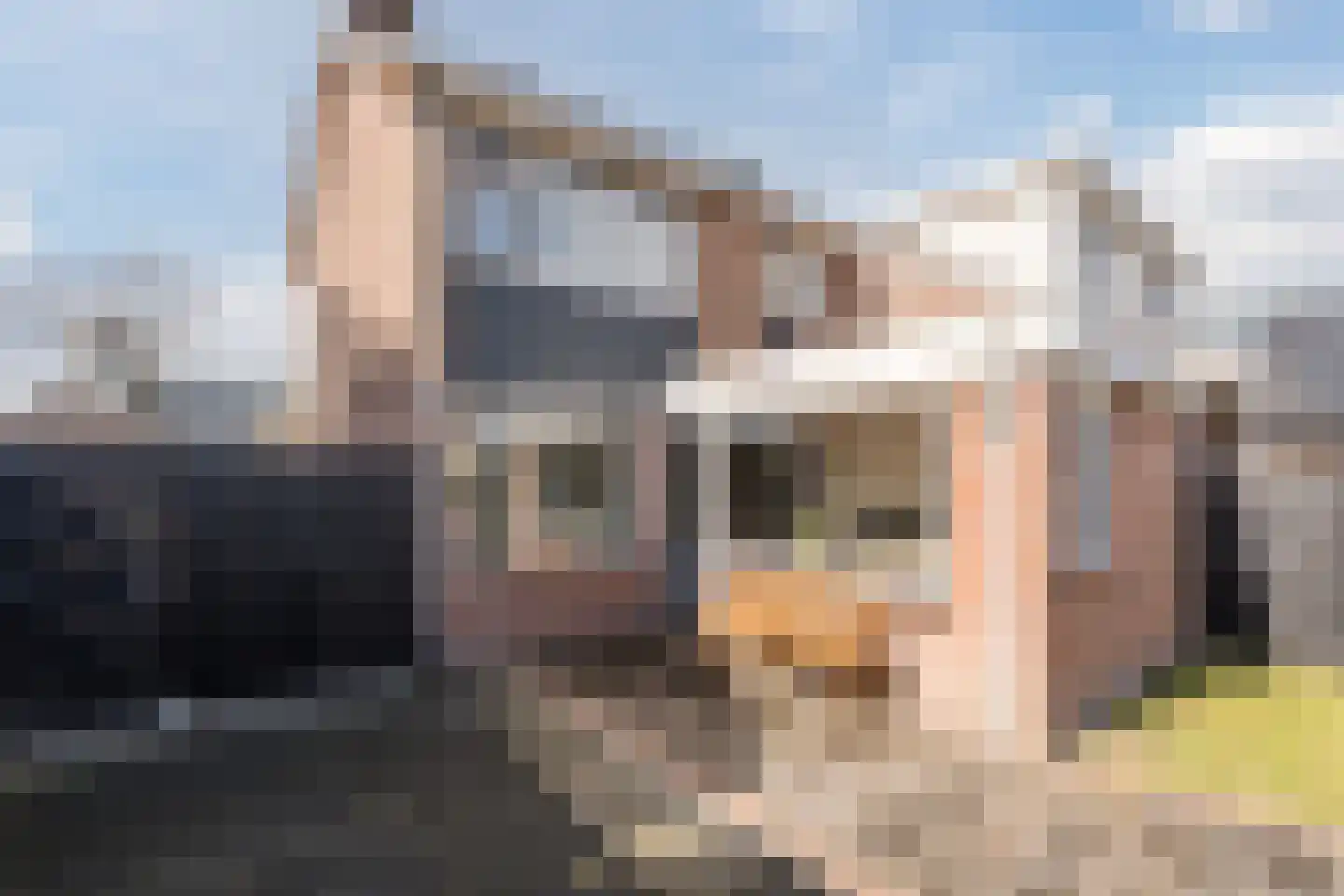 Alteveerstraat 109 Hoogeveen thumbnail 47