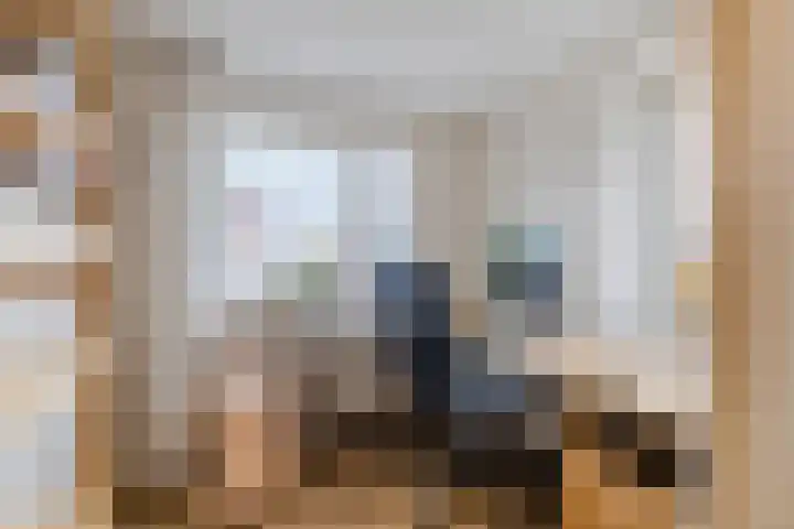 Alteveerstraat 13 b Hoogeveen thumbnail 32