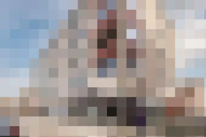 Alteveerstraat 13 b Hoogeveen thumbnail 4