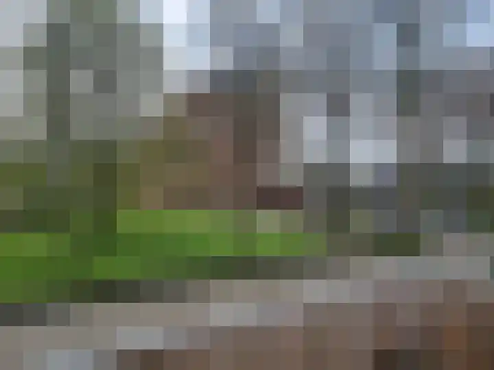 Alteveerstraat 138 Hoogeveen thumbnail 9