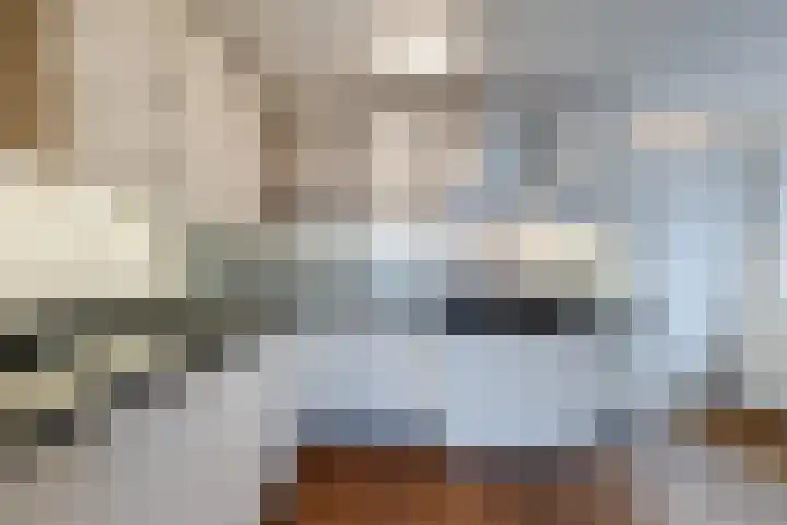 Alteveerstraat 15 b Hoogeveen thumbnail 10
