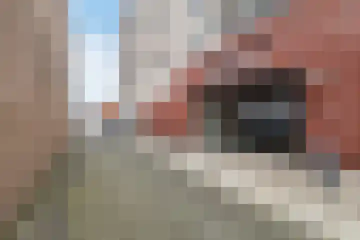 Alteveerstraat 15 b Hoogeveen thumbnail 34