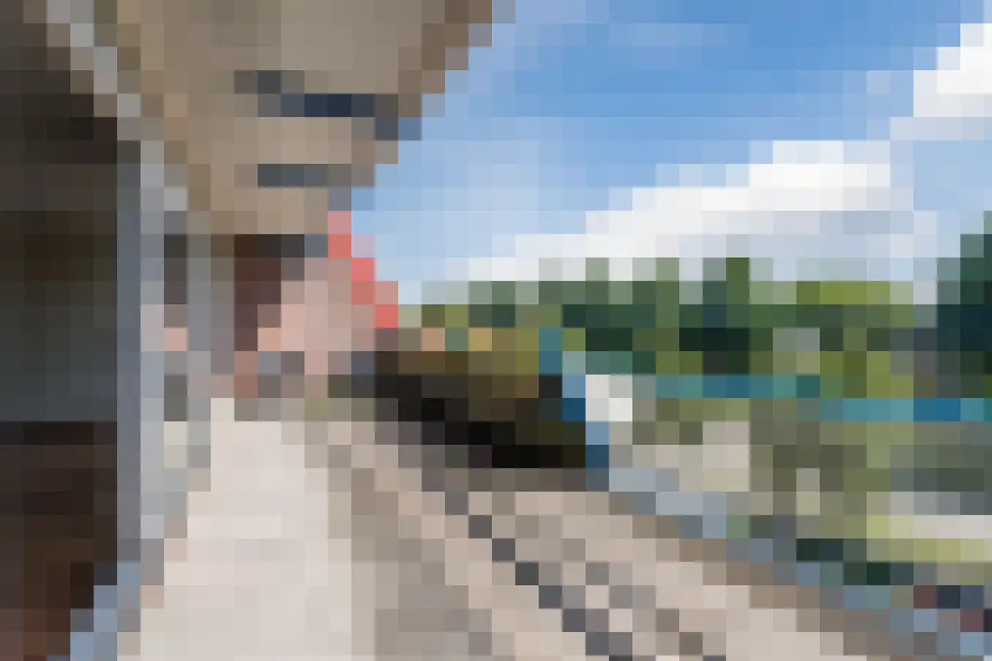 Alteveerstraat 184 Hoogeveen thumbnail 30