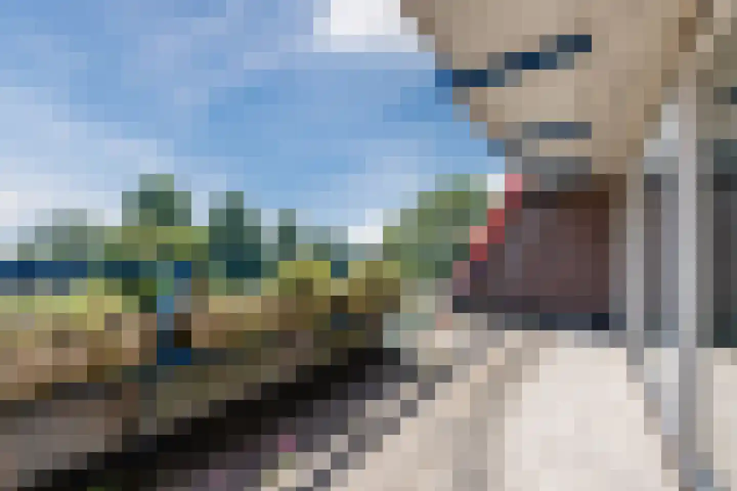 Alteveerstraat 184 Hoogeveen thumbnail 32