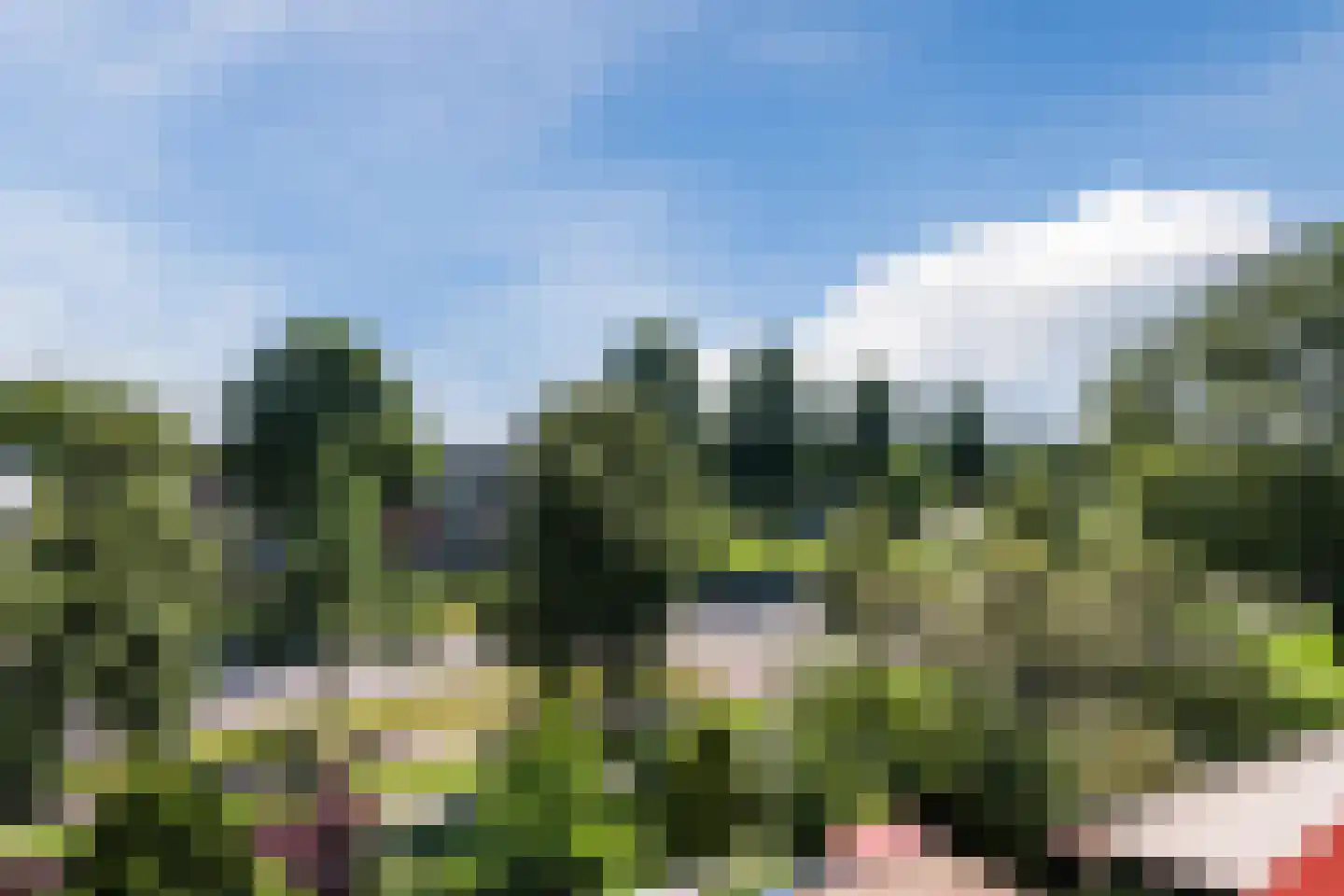 Alteveerstraat 184 Hoogeveen thumbnail 5