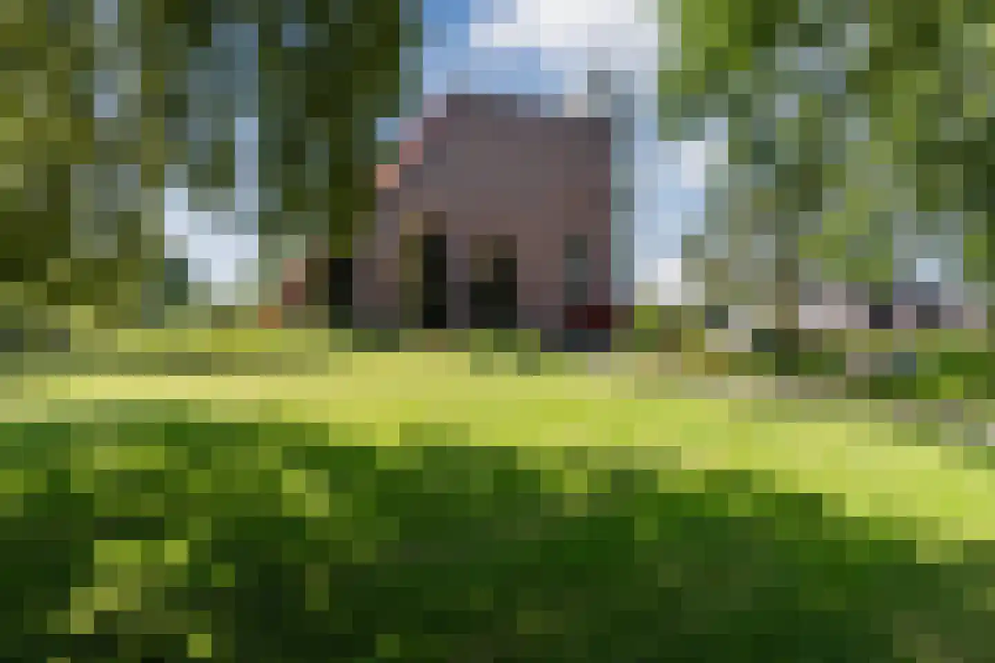 Alteveerstraat 184 Hoogeveen thumbnail 6