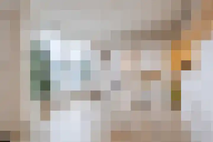 Alteveerstraat 212 Hoogeveen thumbnail 10