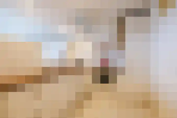 Alteveerstraat 212 Hoogeveen thumbnail 12