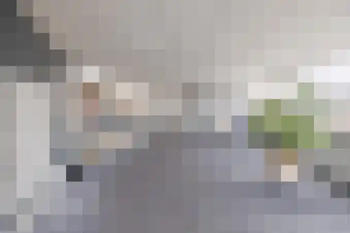 Alteveerstraat 212 Hoogeveen thumbnail 31