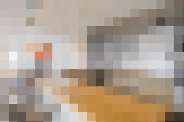 Alteveerstraat 212 Hoogeveen thumbnail 36