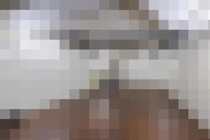 Alteveerstraat 212 Hoogeveen thumbnail 40