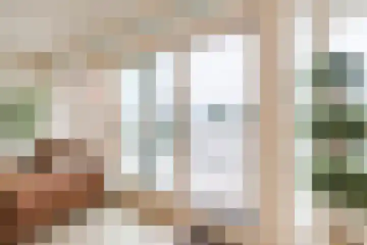 Alteveerstraat 212 Hoogeveen thumbnail 8