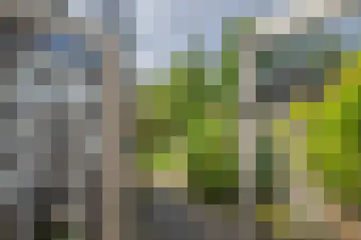 Alteveerstraat 37 Assen thumbnail 18