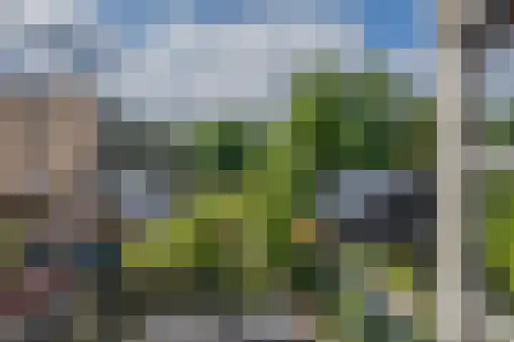 Alteveerstraat 37 Assen thumbnail 25