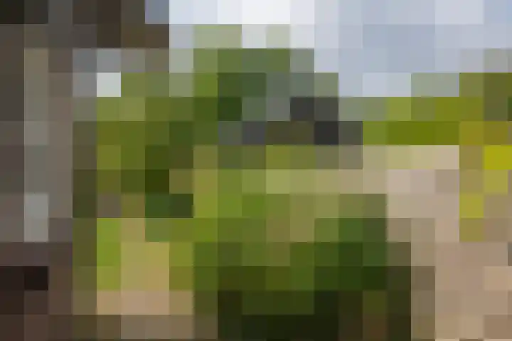 Alteveerstraat 37 Assen thumbnail 35