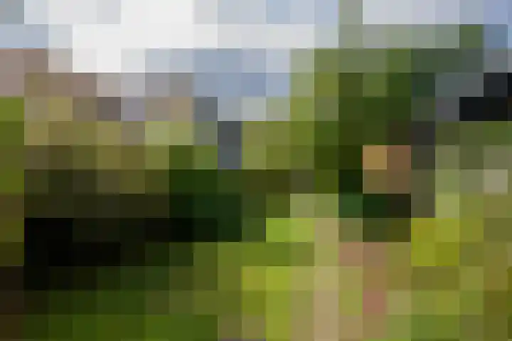 Alteveerstraat 37 Assen thumbnail 36