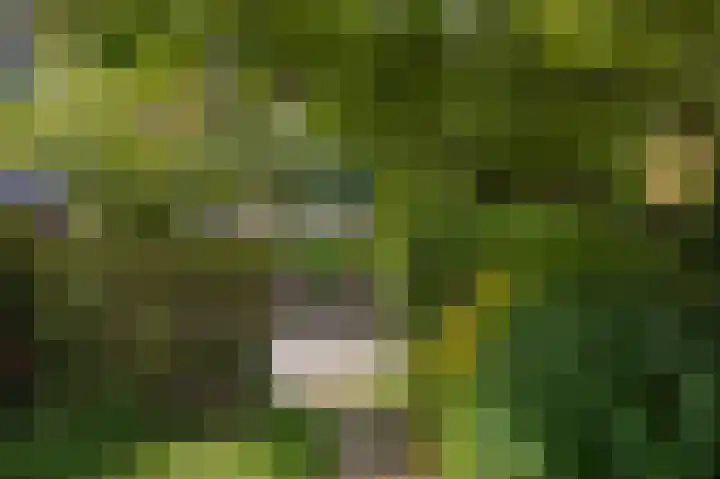 Alteveerstraat 37 Assen thumbnail 37