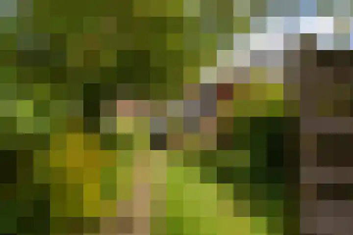 Alteveerstraat 37 Assen thumbnail 40