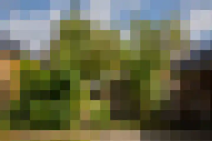 Alteveerstraat 37 Assen thumbnail 41