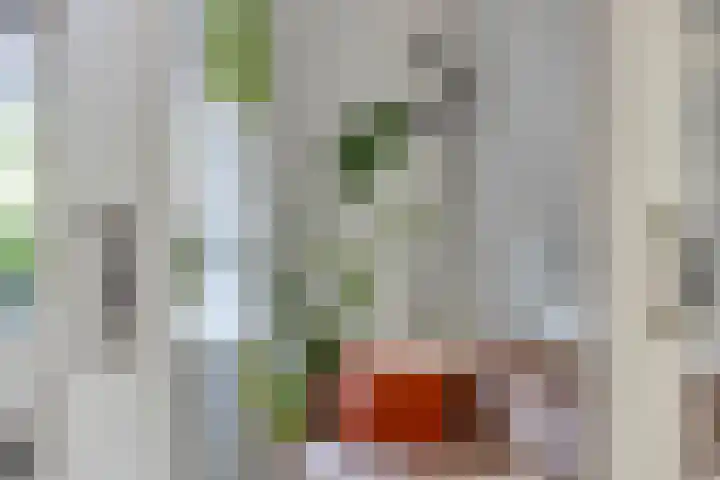 Alteveerstraat 49 Assen thumbnail 18