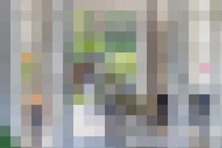 Alteveerstraat 49 Assen thumbnail 19